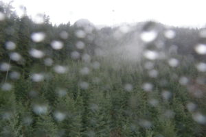 Grouse Mountain - Regen im Tal